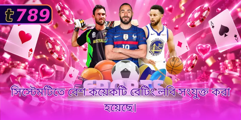 সিস্টেমটিতে বেশ কয়েকটি বেটিং লবি সংযুক্ত করা হয়েছে।